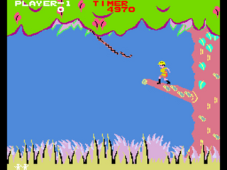 Jungle Hunt